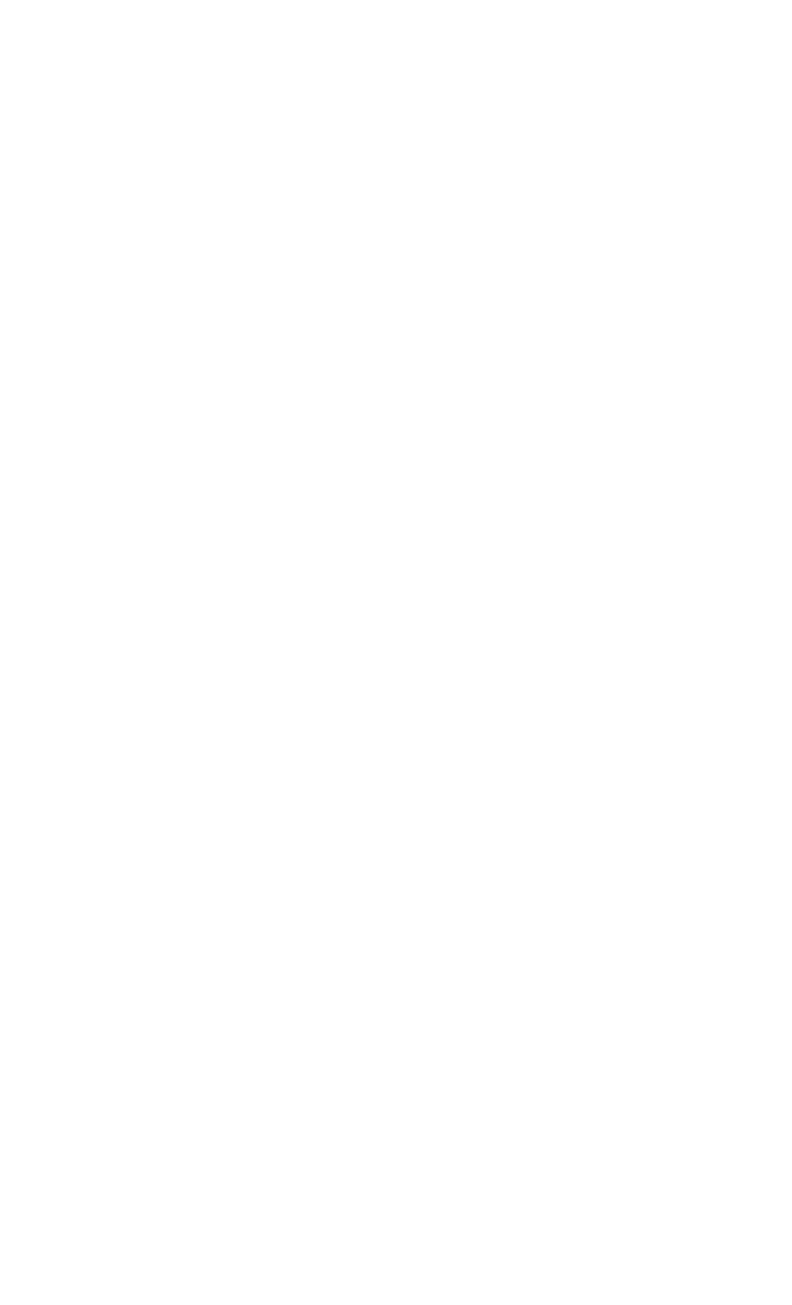 Логотип CH-S Cleaning у футері